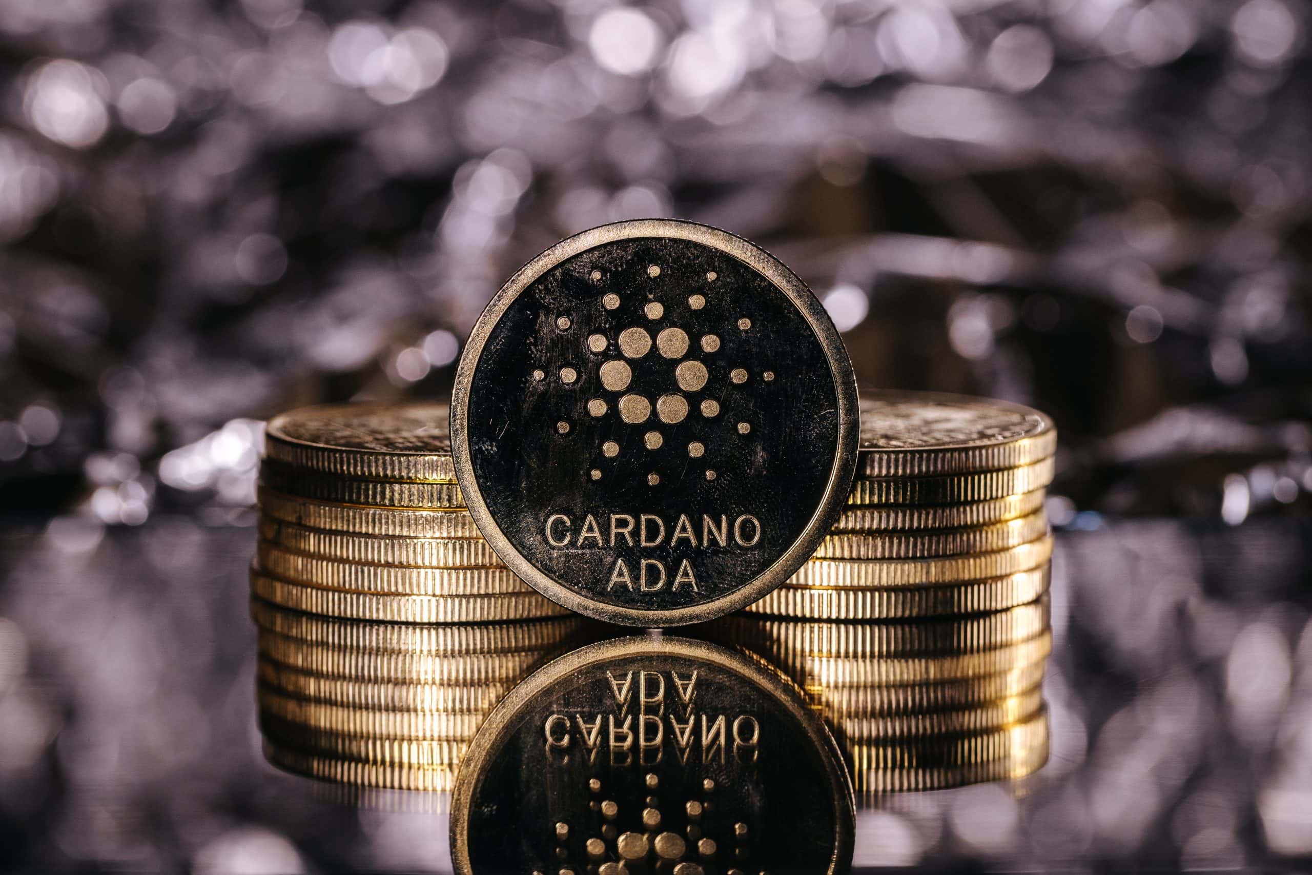 Cardano: Ada corrige violemment - où est le sol? - La Crypto Monnaie