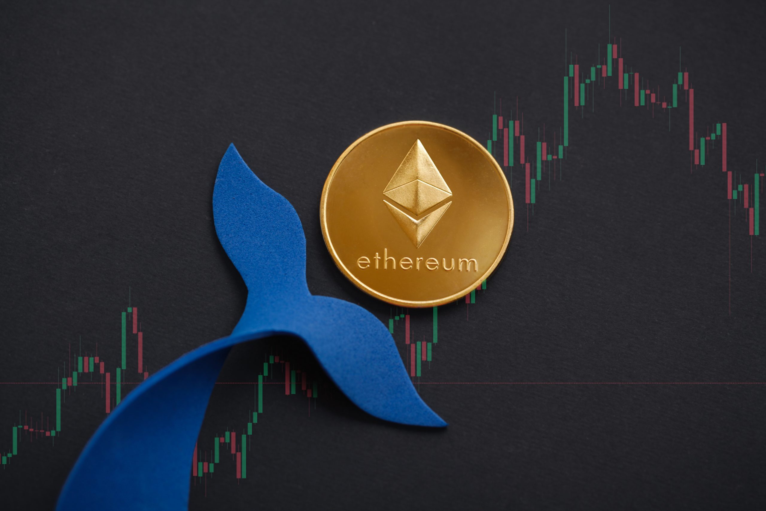 Über eine Million ETH: Ethereum-Wale füllen die Wallets